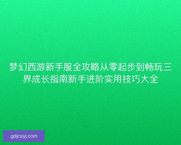 梦幻西游新手服全攻略从零起步到畅玩三界成长指南新手进阶实用技巧大全