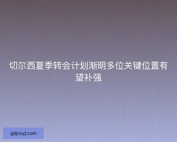 切尔西夏季转会计划渐明多位关键位置有望补强